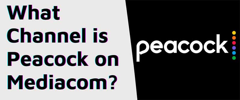Peacock on Mediacom
